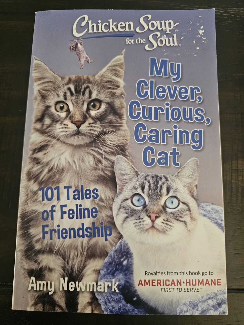: My Clever, Curious, Caring Cat - Blue Cover